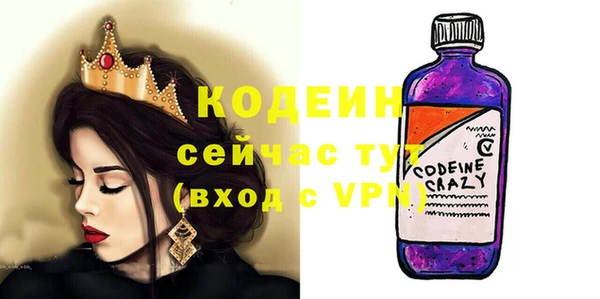 индика Нязепетровск