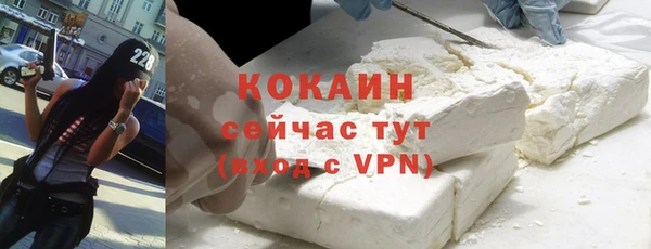 индика Нязепетровск