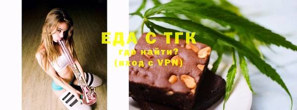 индика Нязепетровск