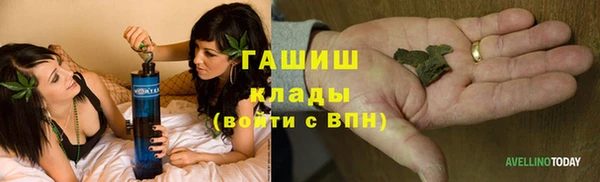 индика Нязепетровск