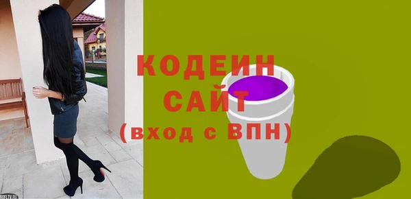 индика Нязепетровск