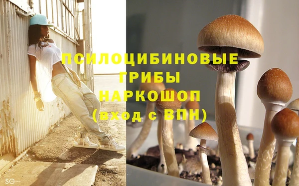 индика Нязепетровск