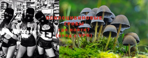 соль курить ск Няндома