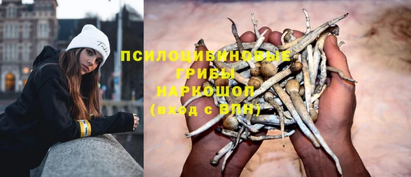 соль курить ск Няндома