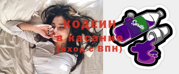 индика Нязепетровск