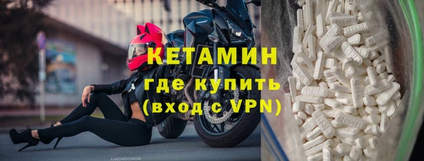 кокс Гатчина
