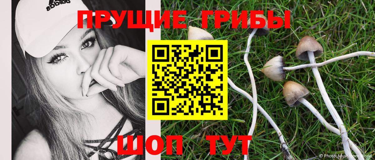 Галлюциногенные грибы прущие грибы  Вход с VPN  Псилоцибиновые грибы Cubensis  Курск 