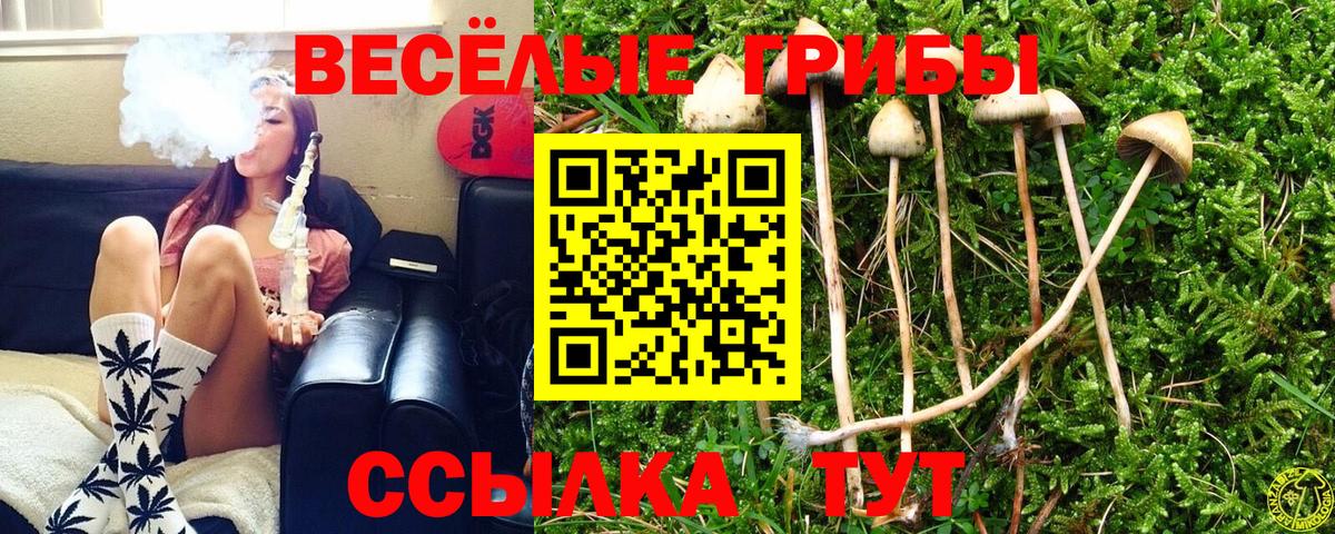 Псилоцибиновые грибы ЛСД Курск