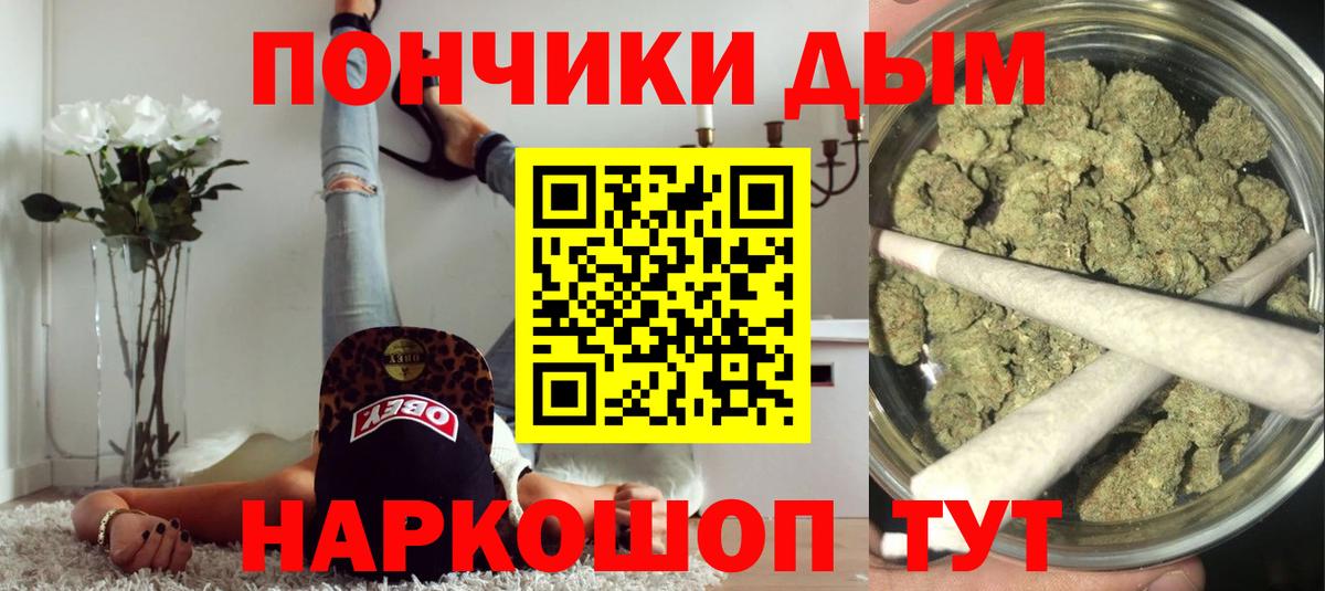 Конопля сатива Курск